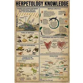 Herpetologia Conhecimento Sinal de Metal de Anfíbios e Répteis Cartaz Anatomia Infográfico Educação Escolar Fazenda da Família do Clube de Parede Decoração